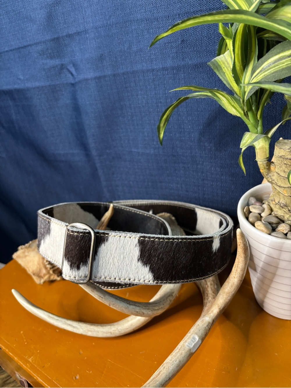 Myra Bag Black & White Cowhide Crossbody Strap with Brass Accents - Picture 2 of 8